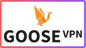 cài đặt Goose VPN